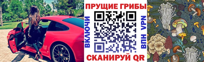 Псилоцибиновые грибы мицелий  Заинск 