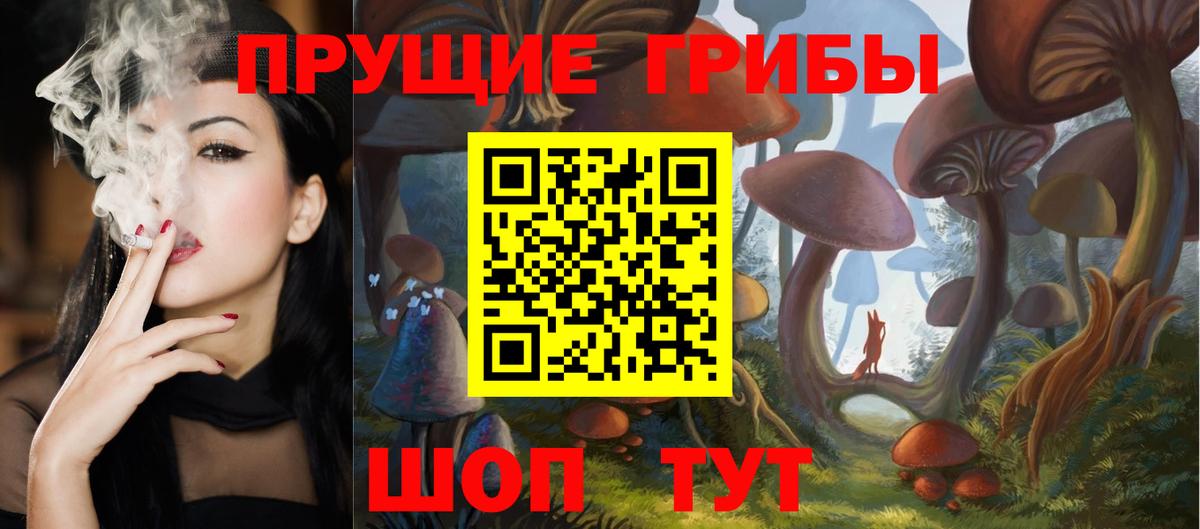 Заинск  Псилоцибиновые грибы ЛСД  Вход с VPN 